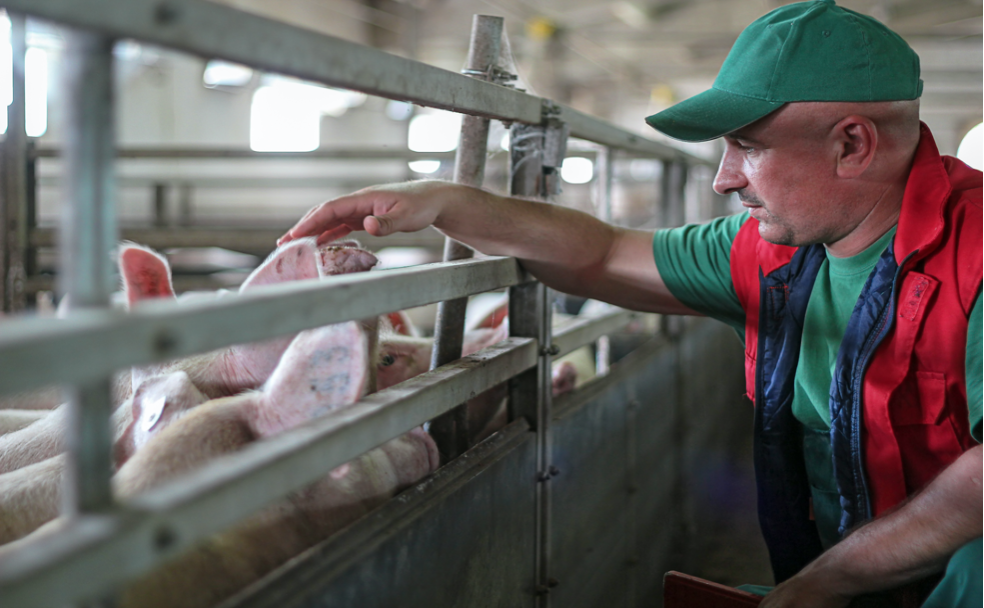 cleaning-disinfecting-animal-farms.png